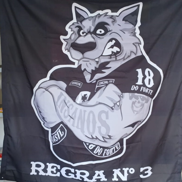 Novo Bandeirão REGRA 3 Lobo INSANOS MC 💀